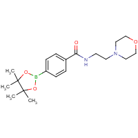 CAS:787591-39-3 | OR310396 | N-[2-(Morpholin-4-yl)ethyl]-4-(tetramethyl-1,3,2-dioxaborolan-2-yl)benzamide