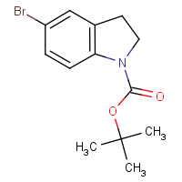 CAS:261732-38-1 | OR310451 | tert-Butyl 5-bromo-2,3-dihydro-1H-indole-1-carboxylate