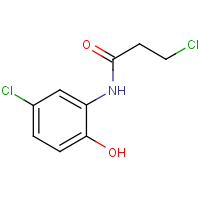 CAS: 1370592-24-7 | OR310762 | 3-Chloro-N-(5-chloro-2-hydroxyphenyl)propanamide