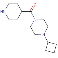 CAS:799559-59-4 | OR310942 | 1-Cyclobutyl-4-(piperidine-4-carbonyl)piperazine