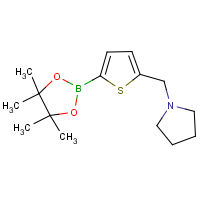CAS:1218790-45-4 | OR310972 | 5-((Pyrrolidine)methyl) -2-thiopheneboronic acid pinacol ester