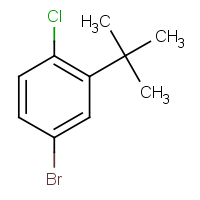 CAS: 1020717-87-6 | OR311232 | 4-Bromo-2-tert-butyl-1-chlorobenzene