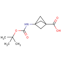 CAS: 303752-38-7 | OR312125 | 3-Aminobicyclo[1.1.1]pentane-1-carboxylic acid, N-BOC protected