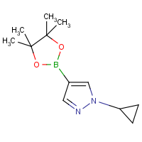 CAS:1151802-22-0 | OR313025 | (1-Cyclopropyl-1H-pyrazol-4-yl)boronic acid, pinacol ester