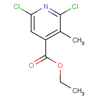 CAS: 137520-99-1 | OR314036 | 2,6-Dichloro-3-methyl-isonicotinic acid ethyl ester