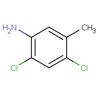 CAS: 17601-75-1 | OR314048 | 2,4-Dichloro-5-methyl-phenylamine