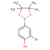 CAS: 2370026-67-6 | OR31501 | 2-Bromo-4-(4,4,5,5-tetramethyl-1,3,2-dioxaborolan-2-yl)phenol
