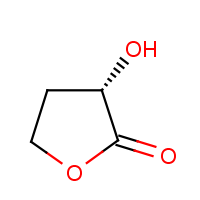 CAS:52079-23-9 | OR315288 | (S)-alpha-Hydroxy-gamma-butyrolactone