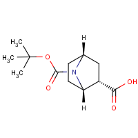 CAS: 918411-46-8 | OR315427 | (1S,2S,4R)-7-(tert-Butoxycarbonyl)-7-azabicyclo[2.2.1]heptane-2-carboxylic acid