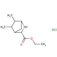 CAS: 1980023-26-4 | OR315471 | Ethyl (3S)-5,6-dimethyl-2-azabicyclo[2.2.1]heptane-3-carboxylate hydrochloride