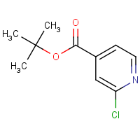 CAS: 295349-62-1 | OR315516 | tert-Butyl 2-chloroisonicotinate