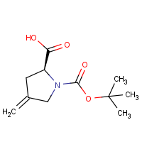 CAS:84348-38-9 | OR316016 | N-t-BOC-4-Methylene-L-proline