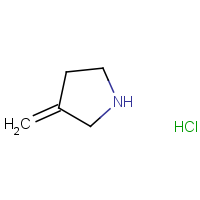 CAS: 155137-13-6 | OR316058 | 3-Methylenepyrrolidine hydrochloride