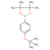 CAS:938063-51-5 | OR3161 | 4-(tert-Butoxy)benzeneboronic acid, pinacol ester