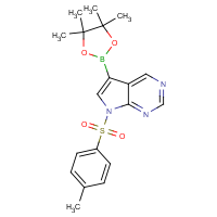 CAS:934178-97-9 | OR317012 | 7-Tosyl-7H-Pyrrolo[2,3-d]pyrimidine-5-boronic acid pinacol ester