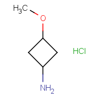 CAS:1404373-83-6 | OR317064 | 3-Methoxycyclobutylamine hydrochloride