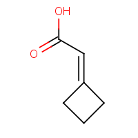 CAS: 25021-04-9 | OR317078 | 2-Cyclobutylideneacetic acid
