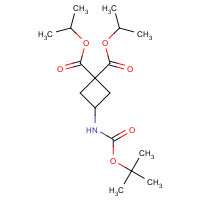 CAS: 1363382-20-0 | OR317081 | 3-tert-Butoxycarbonylamino-cyclobutane-1,1-dicarboxylic acid diisopropyl ester