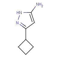 CAS:326827-21-8 | OR317113 | 3-Amino-5-cyclobutyl-1H-pyrazole