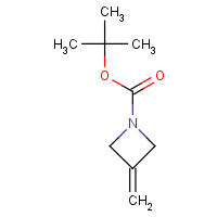 CAS: 934664-41-2 | OR317163 | 3-Methylideneazetidine, N-BOC protected