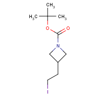 CAS: 158602-36-9 | OR317172 | 1-Boc-3-(iodoethyl)azetidine