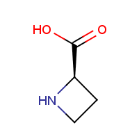 CAS: 7729-30-8 | OR317238 | (R)-(+) Azetidine-2-carboxylic acid