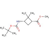 CAS: 1313358-57-4 | OR317270 | Methyl cis-3-(Boc-amino)-2,2-dimethylcyclobutanecarboxylate