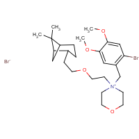 CAS: 53251-94-8 | OR317274 | 4-[(2-Bromo-4,5-dimethoxyphenyl)methyl]-4-[2-[2-(6,6-dimethylbicyclo[3.1.1]hept-2-yl)ethoxy]ethyl]-Morpholinium bromide (1:1)