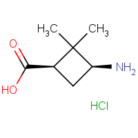 CAS: 92812-22-1 | OR317299 | cis-3-Amino-2,2-dimethylcyclobutanecarboxylic acid hydrochloride