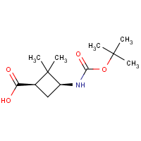 CAS: 188918-39-0 | OR317300 | cis-3-(Boc-amino)-2,2-dimethylcyclobutanecarboxylic acid
