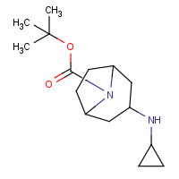 CAS: 1305235-96-4 | OR318032 | tert-Butyl 3-(cyclopropylamino)-8-azabicyclo[3.2.1]octane-8-carboxylate