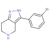 CAS: 916423-55-7 | OR318108 | 3-(3-Bromophenyl)-4,5,6,7-tetrahydro-2H-pyrazolo[4,3-c]pyridine