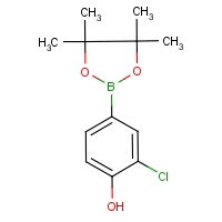 CAS: 629658-06-6 | OR3185 | 3-Chloro-4-hydroxybenzeneboronic acid, pinacol ester