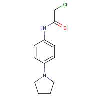 CAS: 251097-15-1 | OR32041 | 2-Chloro-N-[4-(pyrrolidin-1-yl)phenyl]acetamide