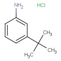 CAS: 83672-23-5 | OR3212 | 3-(tert-Butyl)aniline hydrochloride