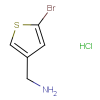 CAS: 1235439-93-6 | OR321446 | (5-Bromothiophen-3-yl)methanamine hydrochloride