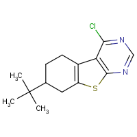 CAS: 381200-95-9 | OR322125 | 7-tert-Butyl-4-chloro-5,6,7,8-tetrahydro-benzo[4,5]thieno[2,3-d]pyrimidine