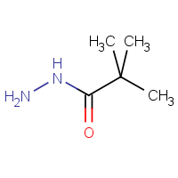 CAS:42826-42-6 | OR322143 | Pivalic acid hydrazide