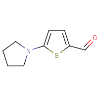 CAS: 24372-47-2 | OR322521 | 5-(1-Pyrrolidinyl)-2-thiophenecarbaldehyde