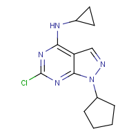 CAS: 1206970-55-9 | OR322854 | 6-Chloro-1-cyclopentyl-n-cyclopropyl-1H-pyrazolo[3,4-d]pyrimidin-4-amine