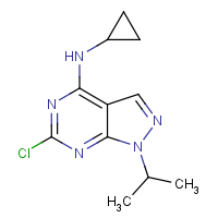 CAS:1206970-15-1 | OR322980 | 6-Chloro-n-cyclopropyl-1-isopropyl-1H-pyrazolo[3,4-d]pyrimidin-4-amine