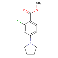 CAS:175153-38-5 | OR32483 | Methyl 2-chloro-4-(pyrrolidin-1-yl)benzoate