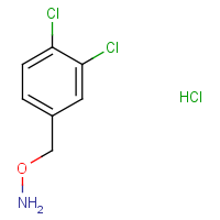 CAS:15256-10-7 | OR32824 | O-[(3,4-Dichlorophenyl)methyl]hydroxylamine hydrochloride