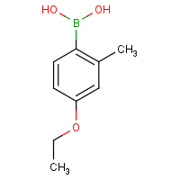 CAS: 313545-31-2 | OR3305 | 4-Ethoxy-2-methylbenzeneboronic acid