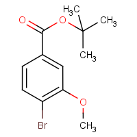 CAS: 247186-51-2 | OR3352 | tert-Butyl 4-bromo-3-methoxybenzoate