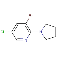 CAS: 1199773-44-8 | OR345224 | 3-Bromo-5-chloro-2-pyrrolidinopyridine