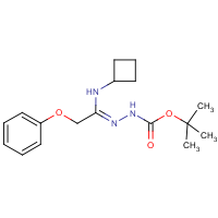 CAS: 1053657-19-4 | OR346032 | N'-[1-Cyclobutylamino-2-phenoxyethylidene]hydrazinecarboxylic acid tert-butyl ester