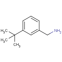 CAS: 140401-55-4 | OR346151 | 3-tert-Butyl-benzylamine hydrochloride