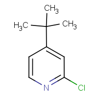 CAS: 81167-60-4 | OR346413 | 4-tert-Butyl-2-chloropyridine