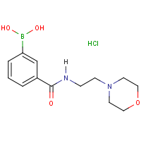 CAS: 957060-89-8 | OR3489 | 3-[(2-Morpholin-4-ylethyl)carbamoyl]benzeneboronic acid hydrochloride